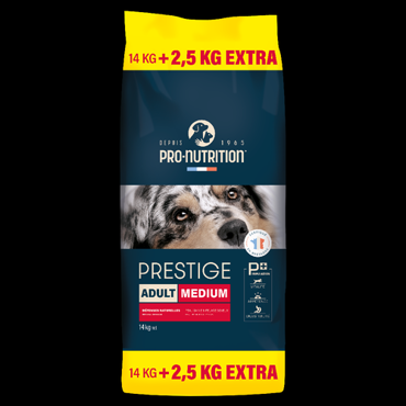 Flatazor Prestige Adult Ξηρά Τροφή για Ενήλικους Σκύλους 14+2.5kg Δώρο